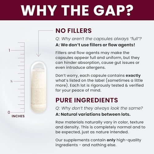 Saccharomyces Boulardii Probiotics 10 Billion CFU   Made in USA   No Fillers  Patented Strain  Lynside CNCM I 3799 Probiotics for Men and Women   Pure TheraPro Rx   240 Capsules