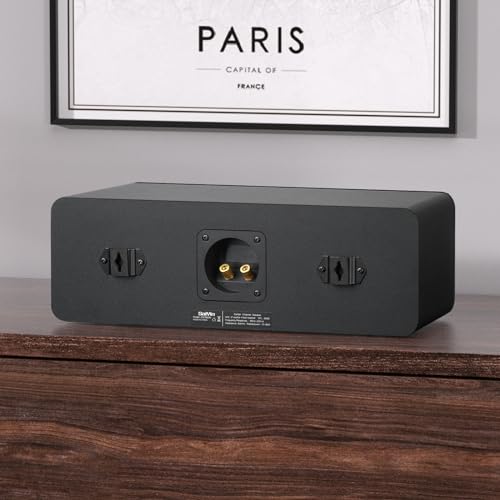 Saiyin Center Channel Speaker Dual 4 Inch Woofers and Silk Tweeter  Crystal Clear for Home Theater Dialogue Passive  Wall Mountable  Single