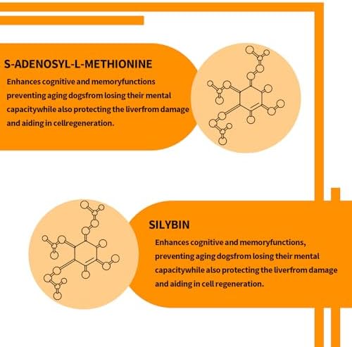 Same and Silybin for Dogs   S Adenosyl L Methionine  Same for Dogs  Liver Supplements for Dogs  Hepatic Supplement for Liver & Brain  Dog Liver Support  Same Silybin   All Dogs  Under 120 lbs 