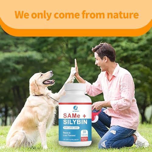 Same and Silybin for Dogs   S Adenosyl L Methionine  Same for Dogs  Liver Supplements for Dogs  Hepatic Supplement for Liver & Brain  Dog Liver Support  Same Silybin   All Dogs  Under 120 lbs 
