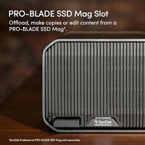 SanDisk Professional 16TB G RAID Mirror   External HDD  RAID with Redundancy  Thunderbolt 3  USB  10Gbps   7200RPM Ultrastar Hard Drive  Up to 250MB/s Read in RAID 1   SDPHH2H 016T NBAAD