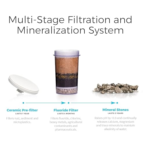 Santevia Gravity Water System Filter   at Home Water Filter That Makes Water Alkaline and Adds Minerals   Chlorine and Fluoride Filter  Countertop Model