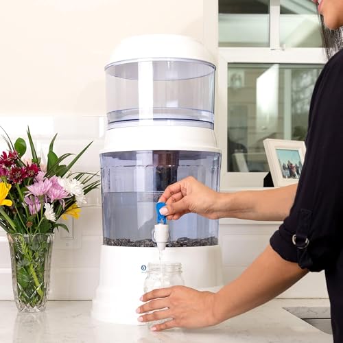 Santevia Gravity Water System Filter   at Home Water Filter That Makes Water Alkaline and Adds Minerals   Chlorine and Fluoride Filter  Countertop Model