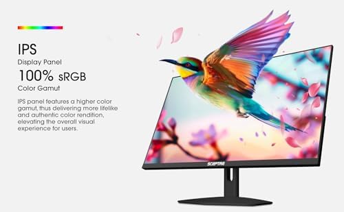 Sceptre New IPS 27 inch Prime Gaming Monitor 100Hz DP HDMI USB Type C  Build in Speakers Machine Black 2026  E275W FP100T Series 