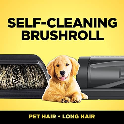 Shark IZ163H Pet Plus Cordless Stick Vacuum with Self Cleaning Brushroll and HEPA Filter  Lightweight Deep Cleaning Vacuum for Carpet and Hard Floors  Folds for Easy Storage  40 min Runtime  Raspberry