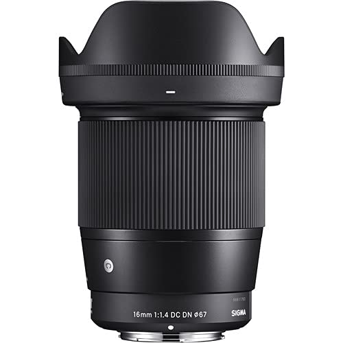 Sigma Lente contemporánea de 0.630 in f1.4 DC DN para Sony E con paquete profesional Sunshine Photo