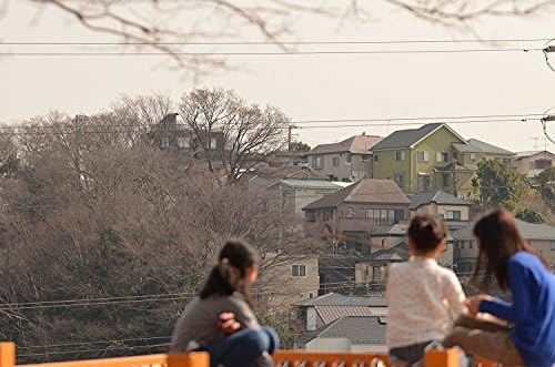 Sigma 258306 105mm F2 8 EX DG OS HSM Macro Lens for Nikon DSLR Camera