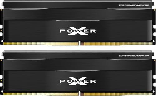 Silicon Power DDR5 32GB  2x16GB  Zenith 6000MT/s  PC5 48000  288 pin CL30 1 35V UDIMM Desktop Memory Module RAM SU032GXLWU60AFDGSW White