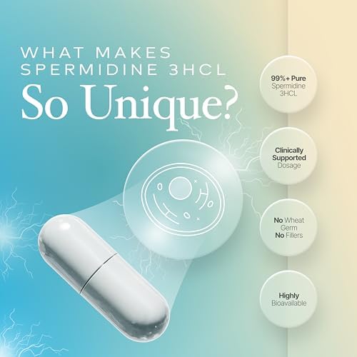 Spermidine Capsules Gluten Free 99  Concentration 100x More Potent Than Wheat Germ Extract for Anti Aging DNA Telomere Support