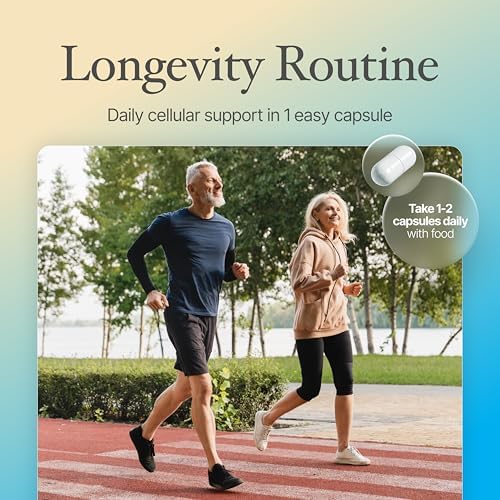 Spermidine Capsules Gluten Free 99  Concentration 100x More Potent Than Wheat Germ Extract for Anti Aging DNA Telomere Support