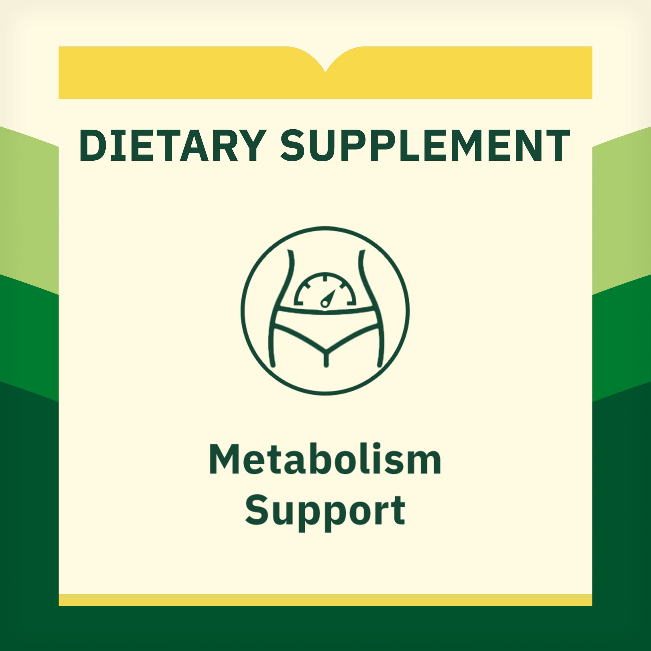 Spring Valley Super Vitamin B Complex Dietary Supplement Tablets for Metabolism Support  250 Count