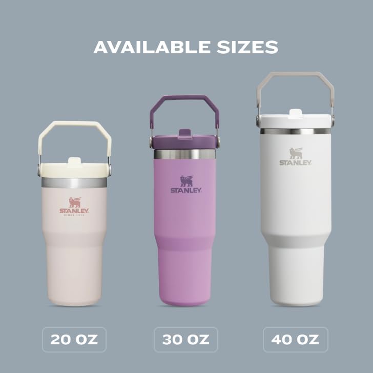 Stanley IceFlow 2 0 Flip Straw Tumbler with Handle 20 oz   Twist On Lid and Flip Up Straw   Leak Resistant Water Bottle   Insulated Stainless Steel   BPA Free   Rose Quartz