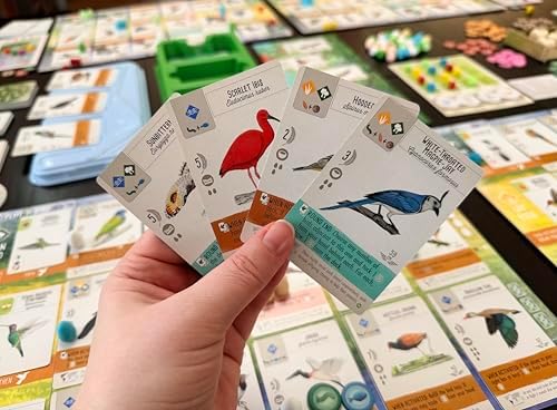 Stonemaier Games  Wingspan Americas Expansion by Elizabeth Hargrave   Add to Wingspan   Includes Small Hummingbird Cards with New Mechanism  111 Unique New Colorful Birds  & More   1 5 Players  90 Min