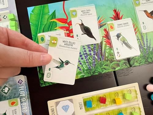 Stonemaier Games  Wingspan Americas Expansion by Elizabeth Hargrave   Add to Wingspan   Includes Small Hummingbird Cards with New Mechanism  111 Unique New Colorful Birds  & More   1 5 Players  90 Min
