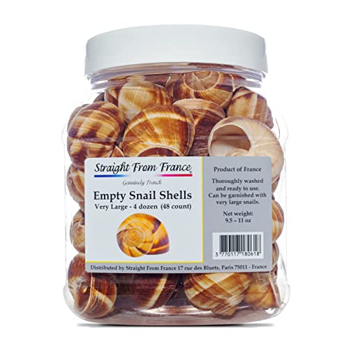 Straight from France Genuinely French  Empty Escargot Snail Shells Bulk Tub  Thoroughly Cleaned  48 Count