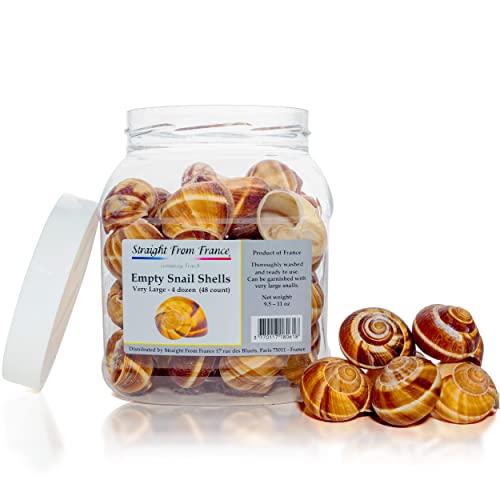 Straight from France Genuinely French  Empty Escargot Snail Shells Bulk Tub  Thoroughly Cleaned  48 Count
