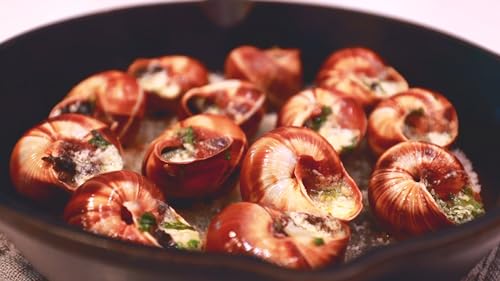 Straight from France Genuinely French  Empty Escargot Snail Shells Bulk Tub  Thoroughly Cleaned  48 Count