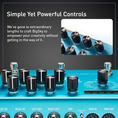 Strymon BigSky Multi Reverb Guitar Effects Pedal with 12 Unique Reverb Machines for Electric and Acoustic Guitar  Synths  Vocals and Keyboards