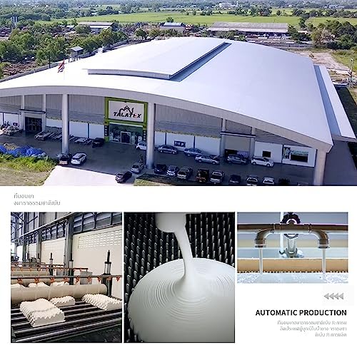 TALATEX 100  Natural Premium Latex Pillow  Adjustable Orthordic Ergonomic Pillow Helps Relieve Pressure  Neck and Shoulder Pain  Medium Firm  Queen