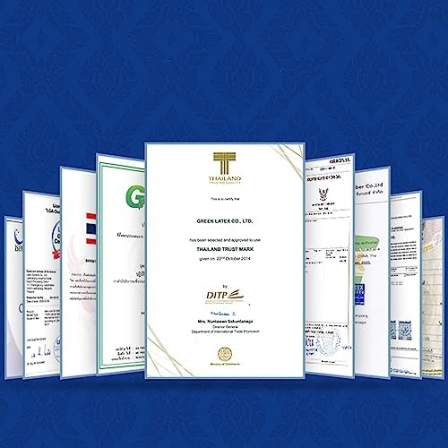 TALATEX 100  Natural Premium Latex Pillow  Adjustable Orthordic Ergonomic Pillow Helps Relieve Pressure  Neck and Shoulder Pain  Medium Firm  Queen