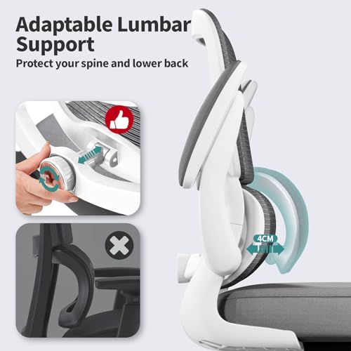 TRALT Office Chair   Ergonomic Desk Chair with Adjustable Lumbar Support  Mesh Computer Chair  Executive Chairs for Home Office Comfortable Lumbar Support  White 