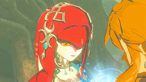 The Legend of Zelda  Breath of the Wild   Nintendo Switch