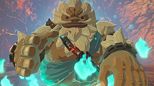 The Legend of Zelda  Breath of the Wild   Nintendo Switch