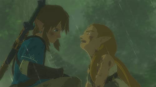 The Legend of Zelda  Breath of the Wild   Nintendo Switch