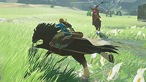 The Legend of Zelda  Breath of the Wild   Nintendo Switch