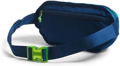 The North Face Y2k Hip Pack