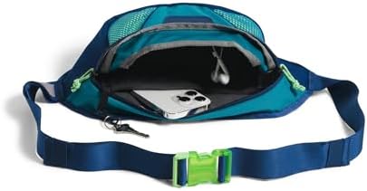 The North Face Y2k Hip Pack