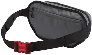 The North Face Y2k Hip Pack