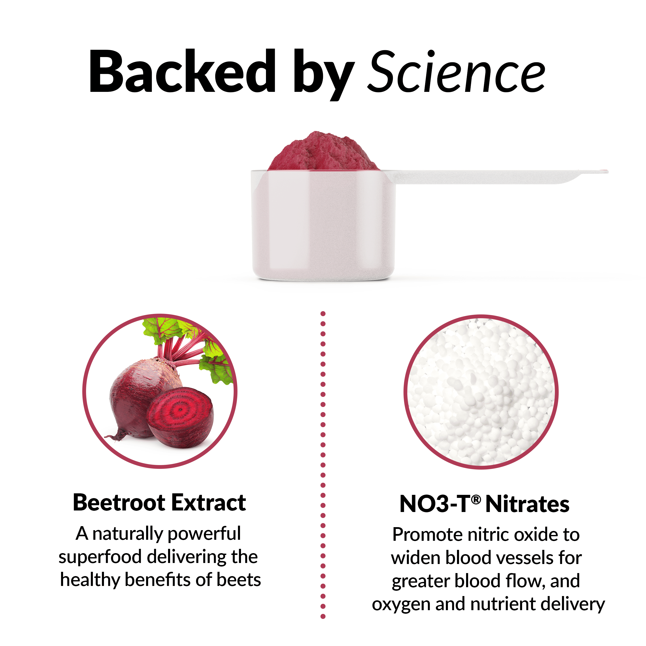 Total Beets , Suplemento de Mezcla de Jugo de Remolacha en Polvo, 30 Porciones, de Force Factor