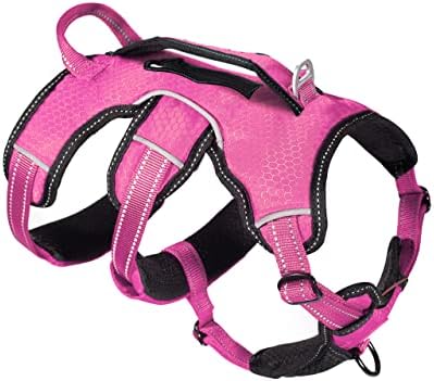 Tuff Pupper Escape Proof No Escape Dog Harness   5 Point Adjustable Fit Harness for Dogs   Padded Dog Harnesses   Handle Dog Lift Harnesses