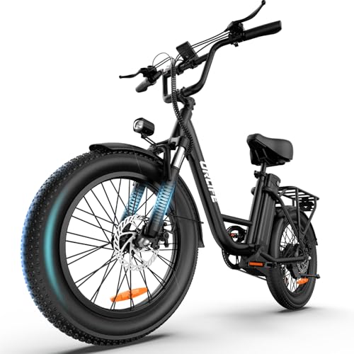 URLIFE Electric Bike for Adults  1000W Peak Motor Ebike  48V 13Ah Removable Battery 80 Miles Max  20 Fat Tire Electric Bicycle with Colorful Display  All Terrain E Bike for Adults and Teens