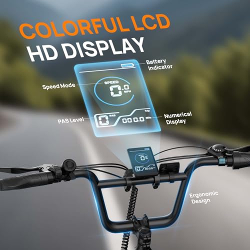 URLIFE Electric Bike for Adults  1000W Peak Motor Ebike  48V 13Ah Removable Battery 80 Miles Max  20 Fat Tire Electric Bicycle with Colorful Display  All Terrain E Bike for Adults and Teens