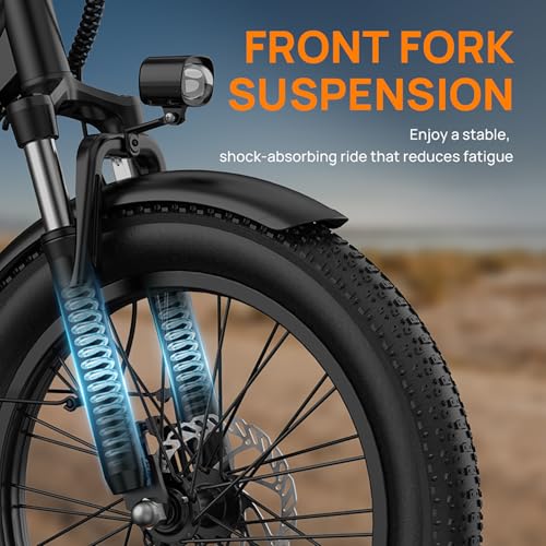 URLIFE Electric Bike for Adults  1000W Peak Motor Ebike  48V 13Ah Removable Battery 80 Miles Max  20 Fat Tire Electric Bicycle with Colorful Display  All Terrain E Bike for Adults and Teens