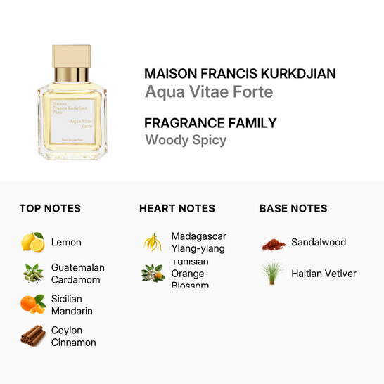 Unisex Aqua Vitae Forte EDP Spray 2 4 oz Fragrances