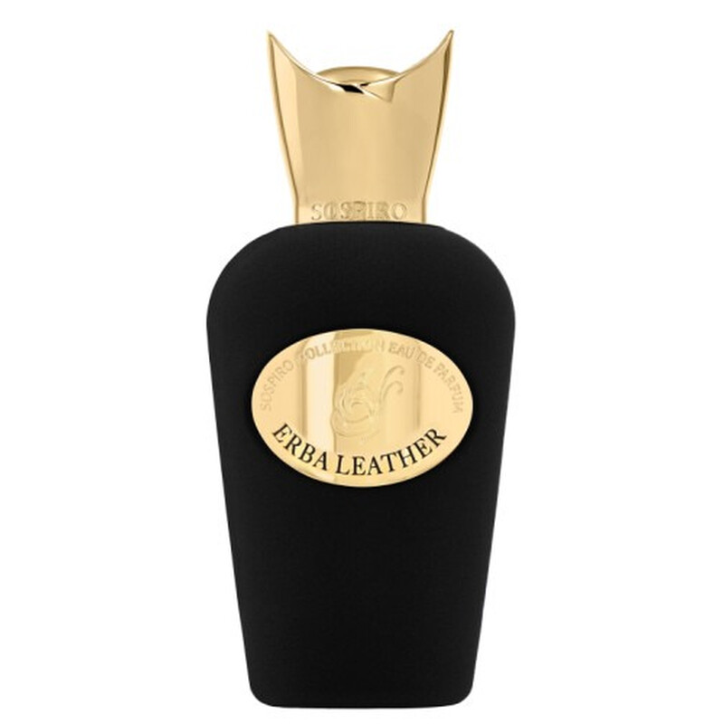 Unisex Erba Leather EDP 3 4 oz Fragrances
