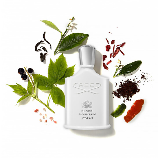 Unisex Silver Mountain Water EDP Spray 3 3 oz Fragrances