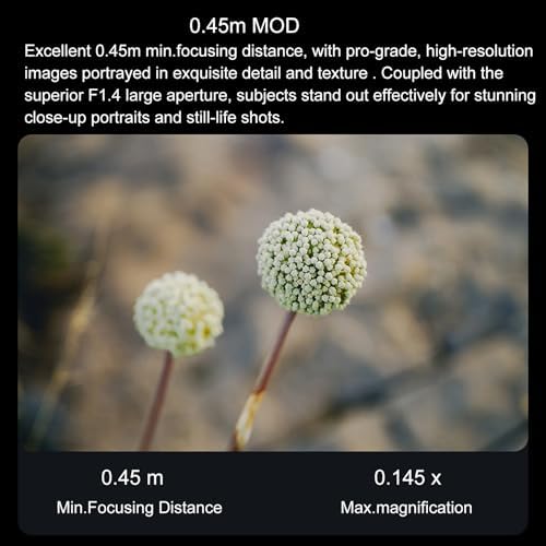 VILTROX 35mm F1 2 LAB FE Full Frame Lens for Sony E  AF 35mm f/1 2 FE Auto Focus Prime Lens for Sony E Mount A7SIII A7III A7RIII A7IV A7RIV A9 A1 FX3 A7RV ZVE1 A7CR A7CII A93 ZV E10 FX30