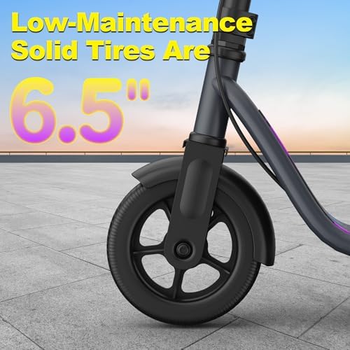 VOLPAM Electric Scooter  350W/500W Powerful Motor  8 5/10 Solid Tires  19/22Mph  28/23/21/16 Miles Max Range  Dual Braking