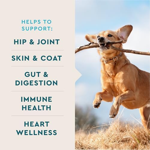 VetIQ 8 in One Multifunctional Supplement for Dogs  Supports Hip & Joint  Urinary Tract  Immune System  Skin Health and Heart Health  Soft Chews  Made in the USA  60 Count