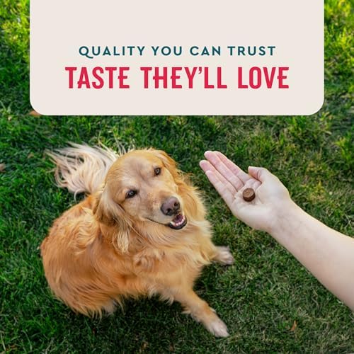 VetIQ 8 in One Multifunctional Supplement for Dogs  Supports Hip & Joint  Urinary Tract  Immune System  Skin Health and Heart Health  Soft Chews  Made in the USA  60 Count