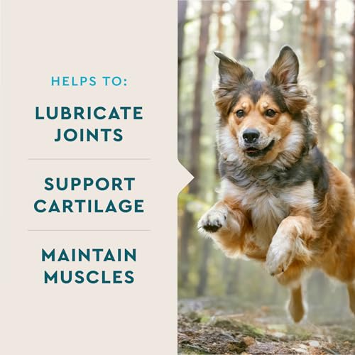 VetIQ Glucosamine Hip & Joint Supplement for Dogs  180 Soft Chews  Dog Joint Support Supplement with MSM and Krill  Dog Health Supplies Large & Small Breed  Chicken Flavored Chewables
