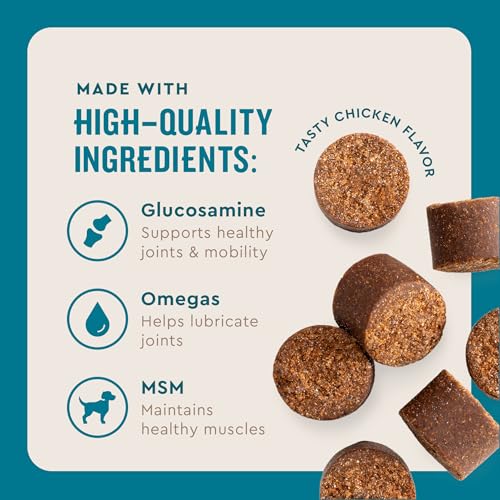 VetIQ Glucosamine Hip & Joint Supplement for Dogs  180 Soft Chews  Dog Joint Support Supplement with MSM and Krill  Dog Health Supplies Large & Small Breed  Chicken Flavored Chewables