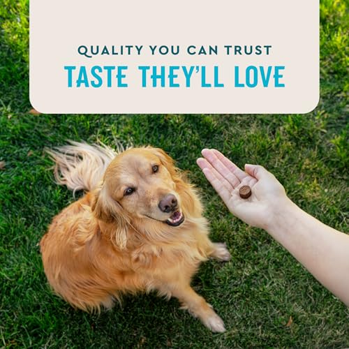 VetIQ Glucosamine Hip & Joint Supplement for Dogs  180 Soft Chews  Dog Joint Support Supplement with MSM and Krill  Dog Health Supplies Large & Small Breed  Chicken Flavored Chewables