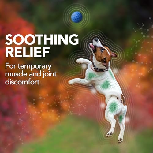 Vet s Best Dog Pain Relief Supplement  Natural Aspirin Alternative for Hip & Joint Support  Arthritis & Aches Relief Tablets for Dogs  150 Count