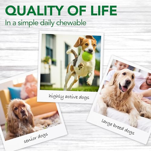 Vet s Best Dog Pain Relief Supplement  Natural Aspirin Alternative for Hip & Joint Support  Arthritis & Aches Relief Tablets for Dogs  150 Count