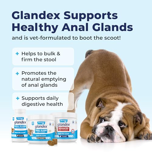 Vetnique Glandex Dog Fiber Supplement Powder for Anal Glands with Pumpkin Digestive Enzymes & Probiotics Vet Recommended Regular or Advanced Strength Boot The Scoot 5 5 oz Vegan Salmon